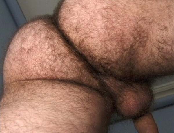 rabo gostoso do macho peludo