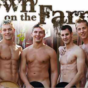 DVD Gay - Down On The Farm