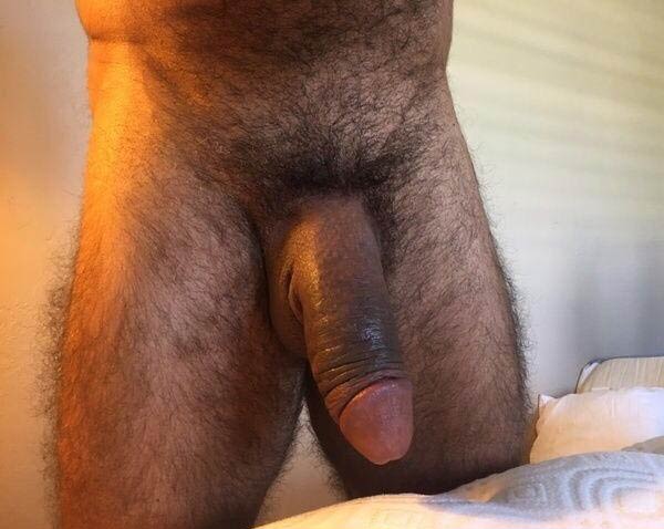 peludo caralhao grosso amador gay