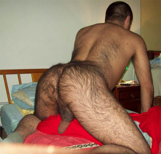 gay de 4 cuzao super peludo