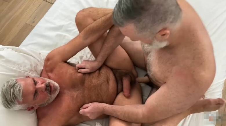 sexo gay papais de açucar porno grisalhos 2