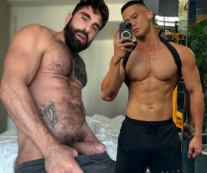 Ursão esbagaça asiático e vira o rabo para receber troca-troca